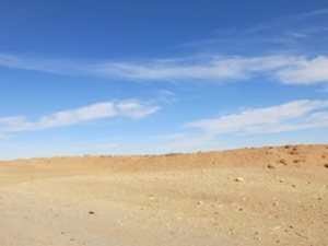 10858600_10204718573757393_4502373714628173334_n