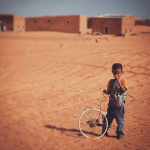 10014566_915710158440819_2476612808412769390_n