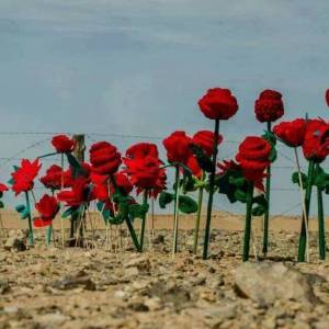 MURO DE LA VERGÜENZA: EL SAHARA OCCIDENTAL TIENE EL MAYOR CAMPO MINADO DEL MUNDO, CON MÁS 7 MILLONES DE MINAS ANTIPERSONALES. DICHA ÁREA MINADA  SE UBICA INMEDIATA AL  MURO DE 2.720 KMS. DE LARGO, DONDE HAN PERECIDO O HAN QUEDADO HERIDAS UNA CANTIDAD INDETERMINADA DE VÍCTIMAS (Foto de Barbara Weingartner-Western Sahara). 