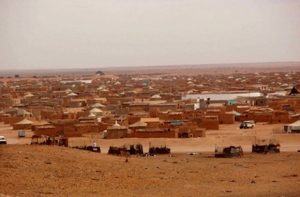 50356f9b3f386904ca17b30a5a97f088_XL