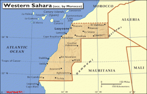 wsahara
