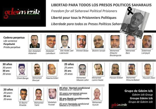 d69d5335-1319-4c5a-a29e-f719372256b3