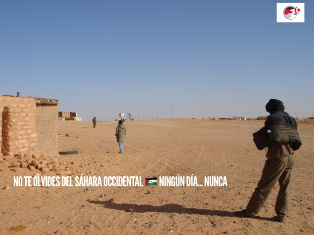 4A48F84D-FD67-4806-819F-BEE252C96E4D