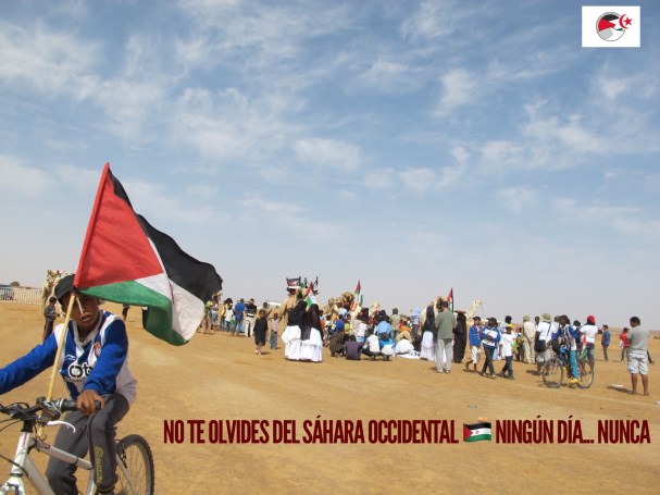 AD937039-2AE6-4769-ADB5-B3C3D6FA2B02