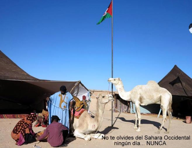 11044640_10205253714775584_7129050590468392554_n