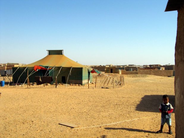 1276709_10201485144763689_388568451_o