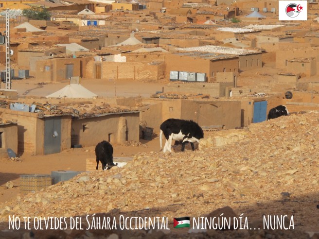 F85A7732-24E9-4A64-997E-888CE809B871