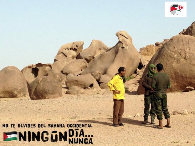 1FF459EF-37CB-4BB1-8E97-6DCA175AEA30